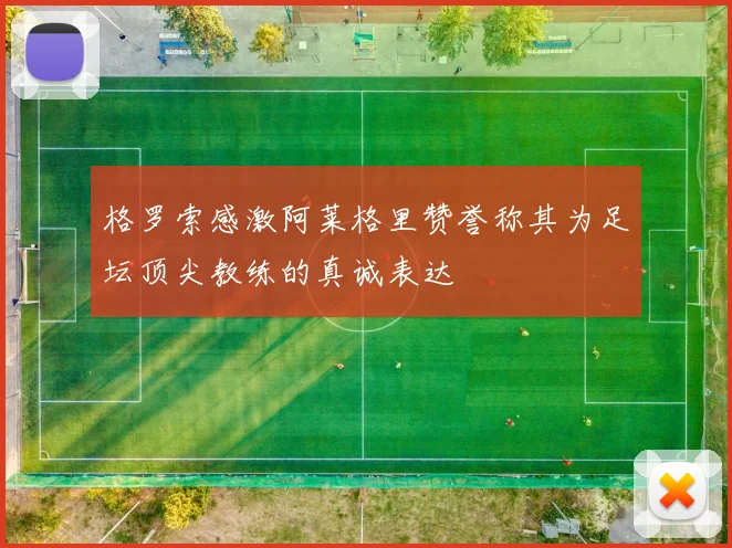 格罗索感激阿莱格里赞誉称其为足坛顶尖教练的真诚表达